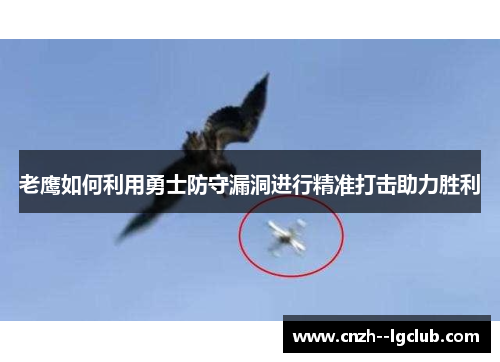 老鹰如何利用勇士防守漏洞进行精准打击助力胜利
