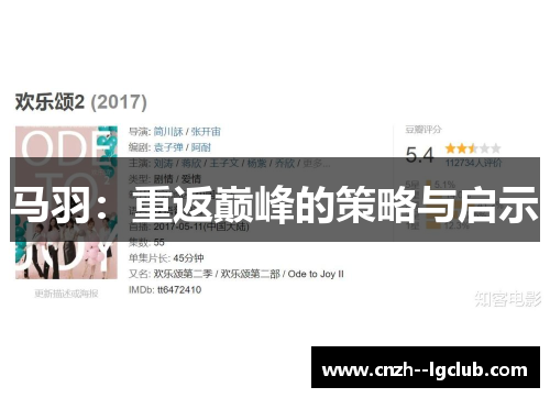 马羽：重返巅峰的策略与启示